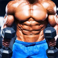 健身房 锻炼 适合度 仿真器 健身房 锻炼 适合度 仿真器