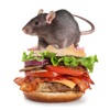 Burger Rats