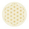 iGong – Yoga & Meditation iGong – Yoga & Meditation