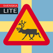 Sverige Vägmärken – Lite