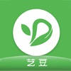 艺豆文化