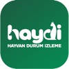 HAYDİ