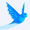 Happy Bird!