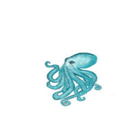 Opal Octopus