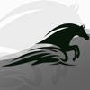 Ride Up – Equine Journal