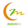 表现性评价(学生)