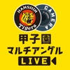 甲子園マルチアングルLIVE 甲子園マルチアングルLIVE