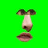 Feed AI