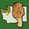 Washington NW Mushroom Forager Washington NW Mushroom Forager