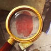 Sherlock Holmes:Hidden Objects