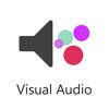 VisualAudio Hearing Aid VisualAudio Hearing Aid