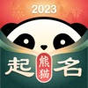 熊猫起名宝宝取名-经典寓意起名软件