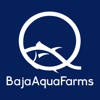BajaAquaFarms