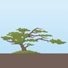 Salishan Golf Links Salishan Golf Links