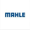 Mahle Argentina – Catálogo