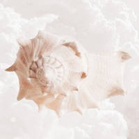 Card of the Day Card of the Day