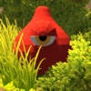 SlimeRunner