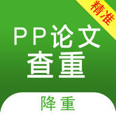 PP论文查重