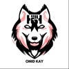 Omid Kay
