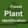 Forest Plant Identification Forest Plant Identification