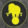 InLine Balance Workout App