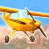 Real Flight