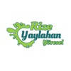 Yaylahan Yöresel