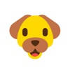 Dogname – find it together