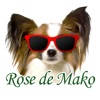 Rose do Mako 公式アプリ Rose do Mako 公式アプリ