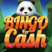 Bingo For Cash – Real Money