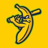 Savannah Bananas