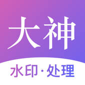 大神水印-视频图片水印处理大师