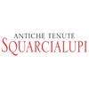 Squarcialupi