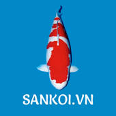 SanKoi