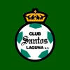 ACADEMIA SANTOS CDMX