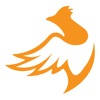 Golden Grouse