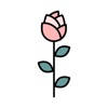 Rosa – Skincare Diary