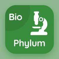 Phylum Quiz Phylum Quiz