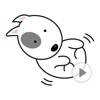 ANI Cute dog Bull Terrier