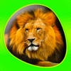 Animals 360 – Wildlife