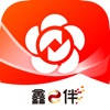 南京银行企业银行-鑫e伴