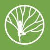 Bodytree Wellness Studio