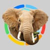 Animals 100 Lite