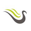 FineFeather Dental