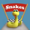 Snake Way 3D: Adventure Run