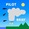 Pilot Brief