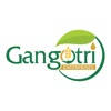 Gangotri