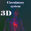 Circulatory system