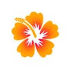Hawaii Tax Institute
