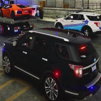 疯狂的警察司机